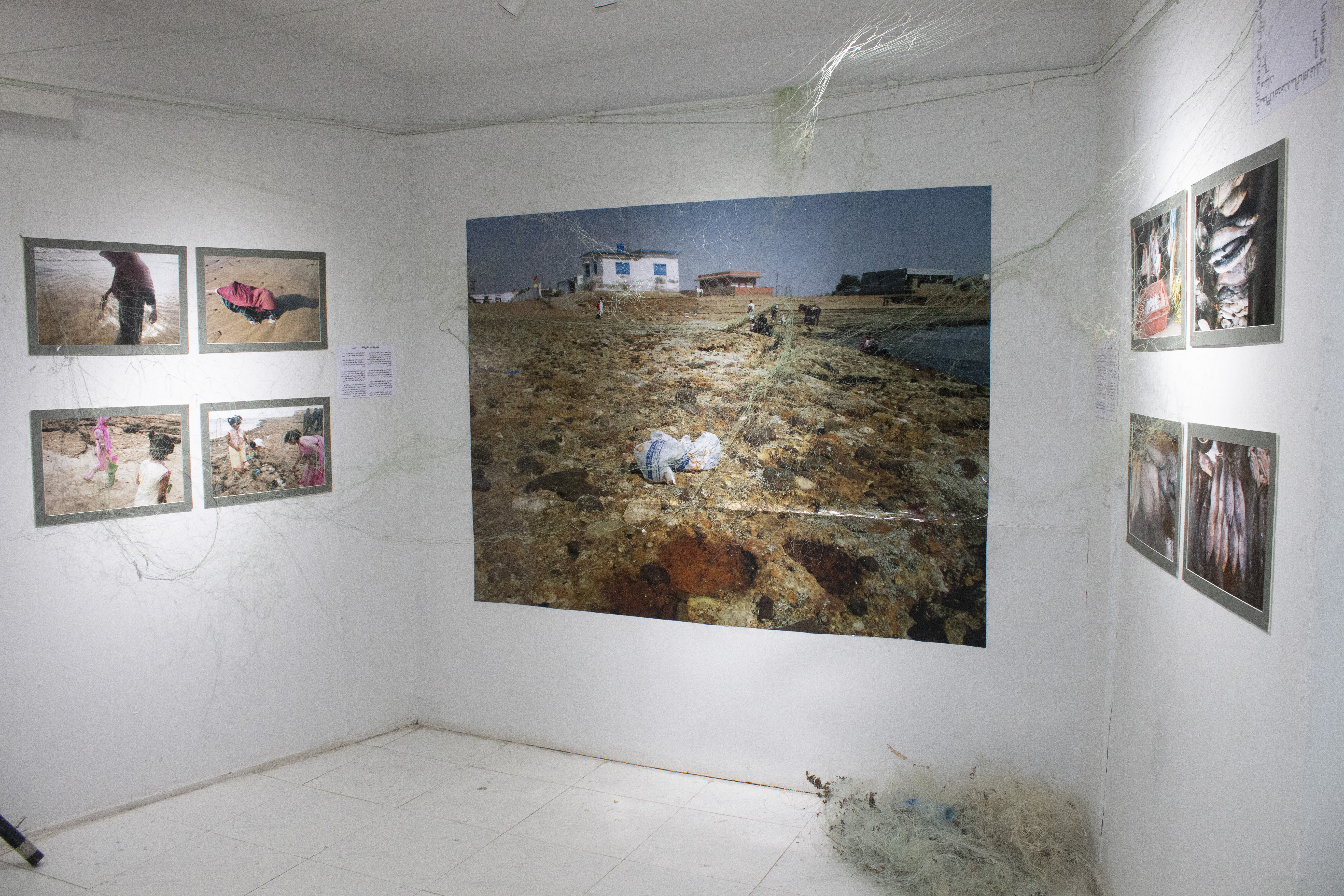 Exhibition Image 4